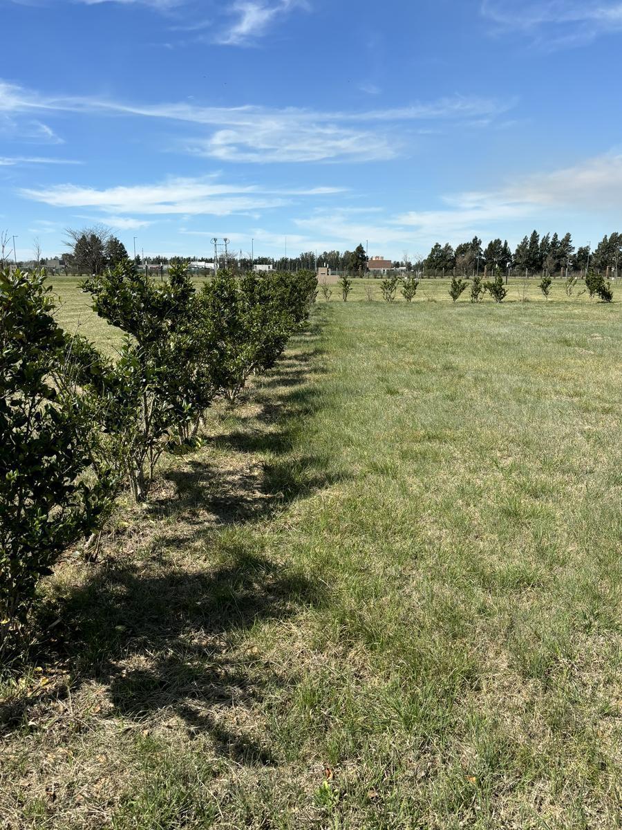Lote 830 m2 - Los Pasos del Jockey 3 - Fisherton | Venta