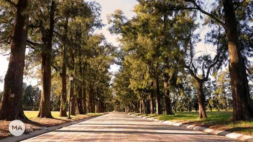 Terreno en barrio cerrado - Azahares del Paraná - Fighiera | Venta 2