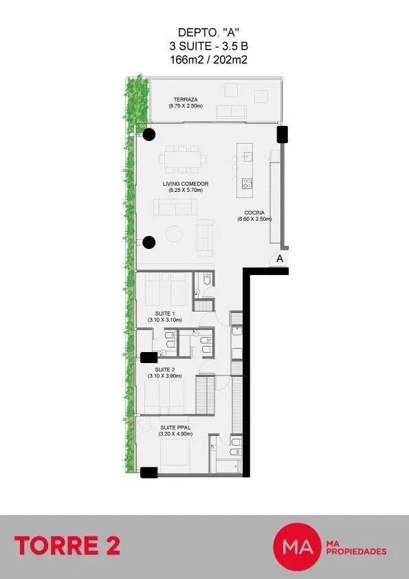 Plano 7