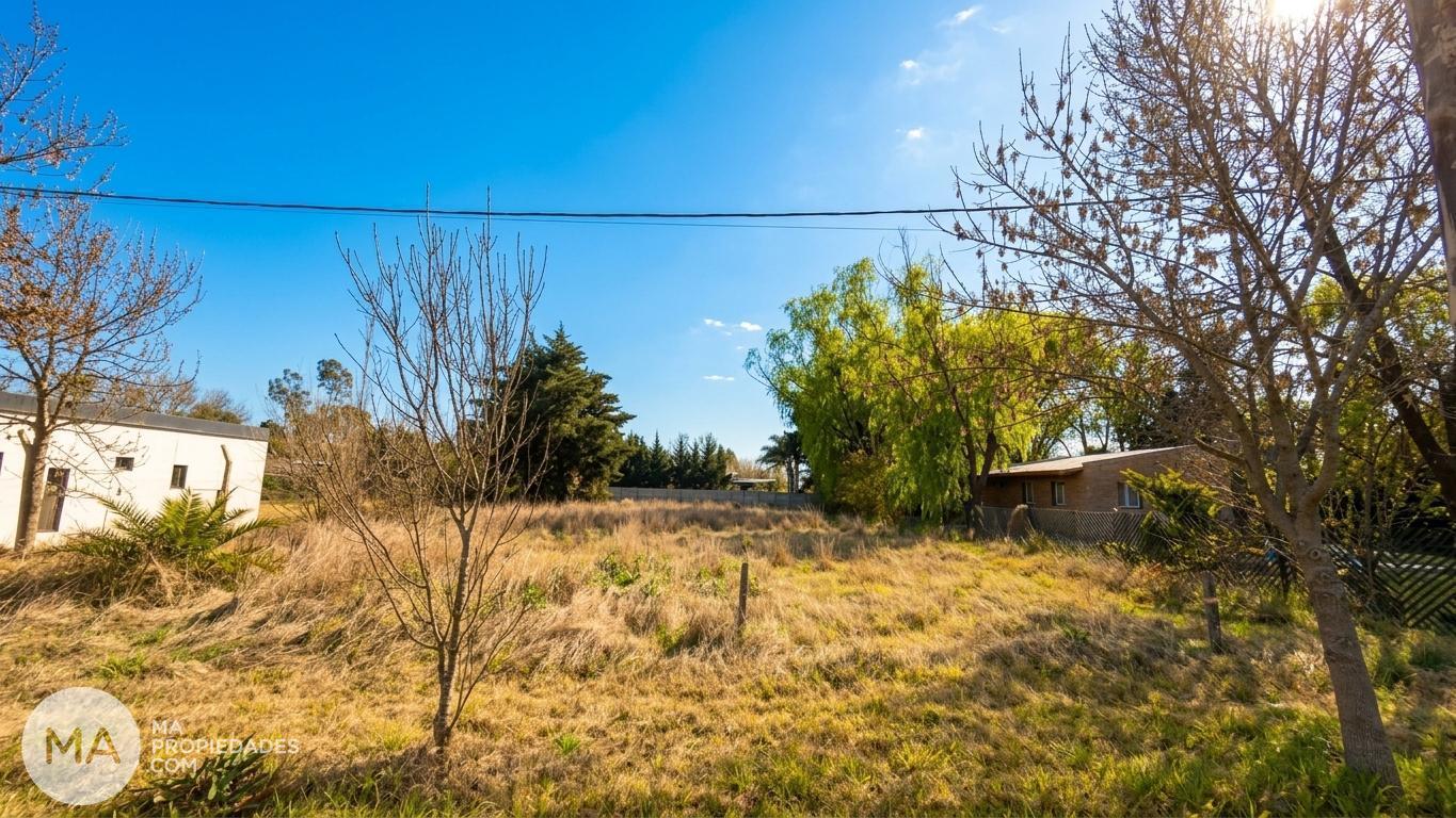 Foto de VENTA | Lote 1.264 m² sobre Av. Bernardo Houssay y Las Carretas - Funes, imagen 3