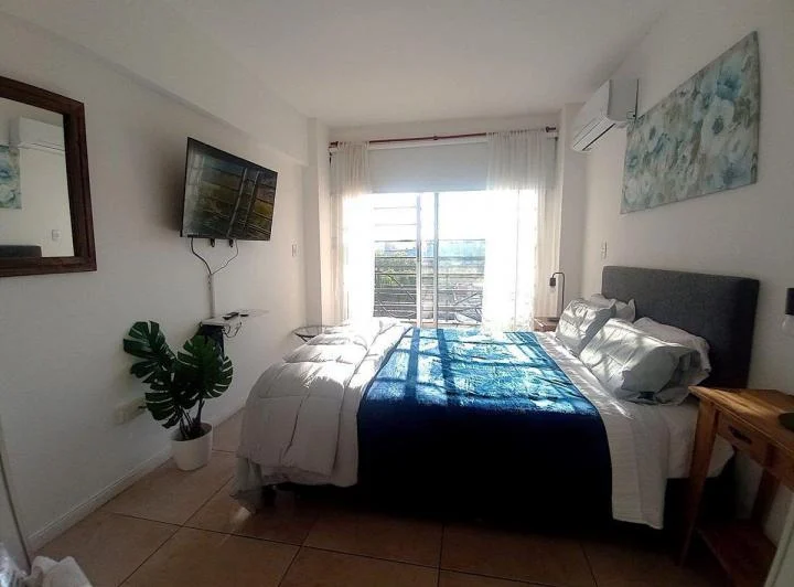 Alquiler Dpto Monoambiente balcón Palermo 2