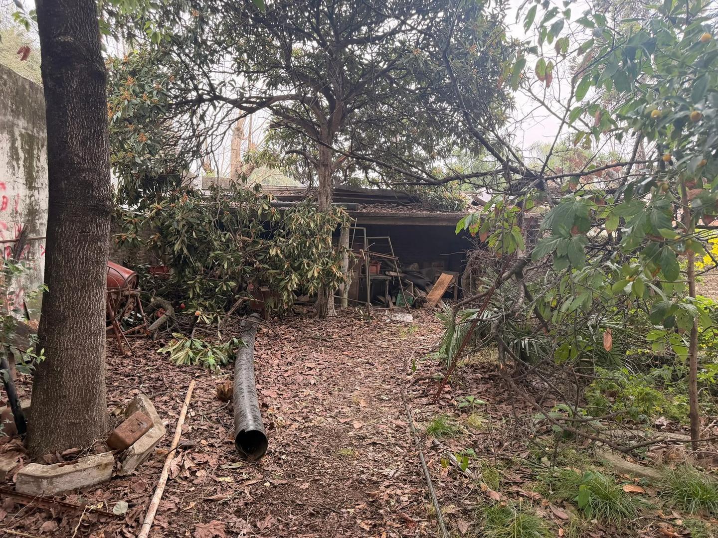 Foto de Lote - Castelar norte, imagen 4