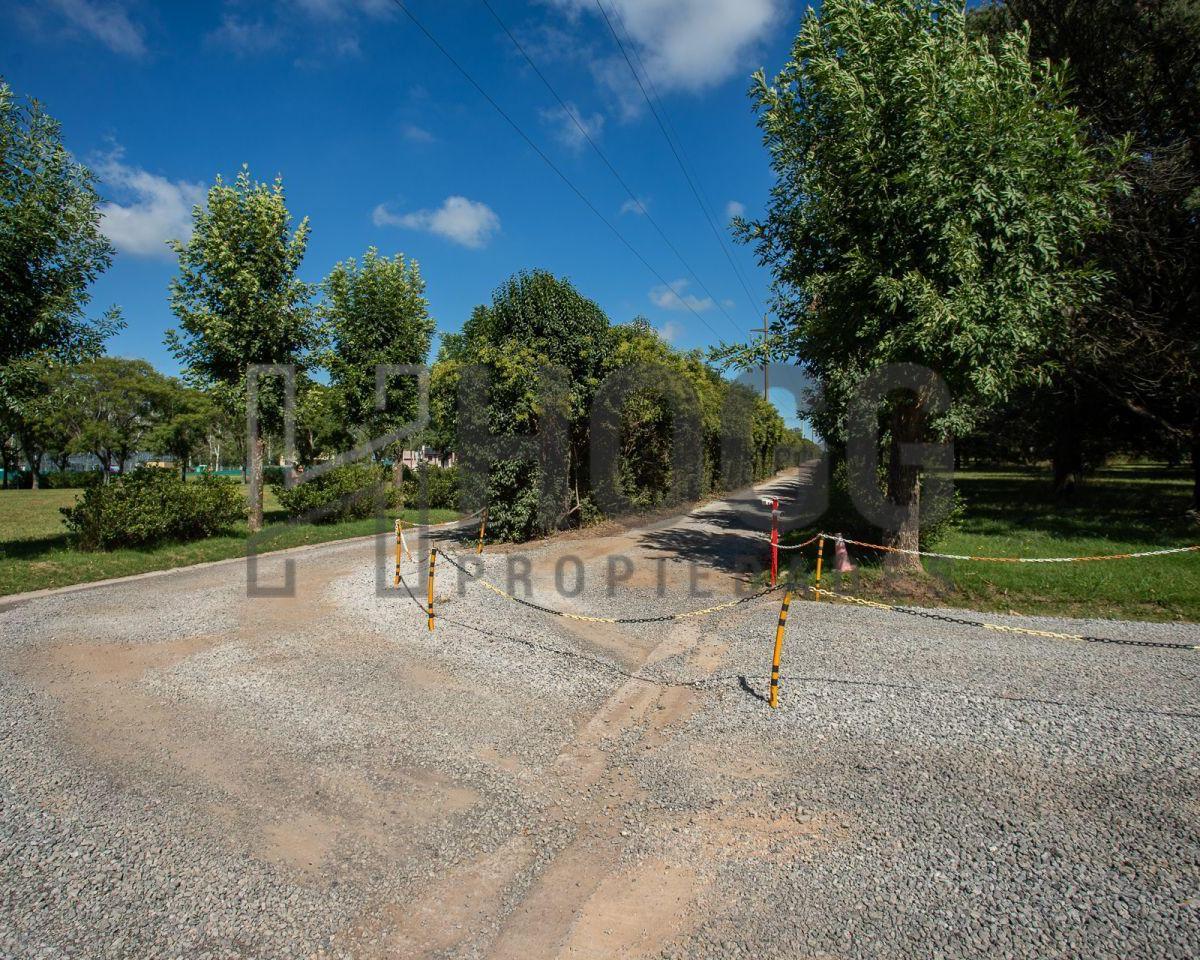 Lote | Ruta Nacional Nº 8 4