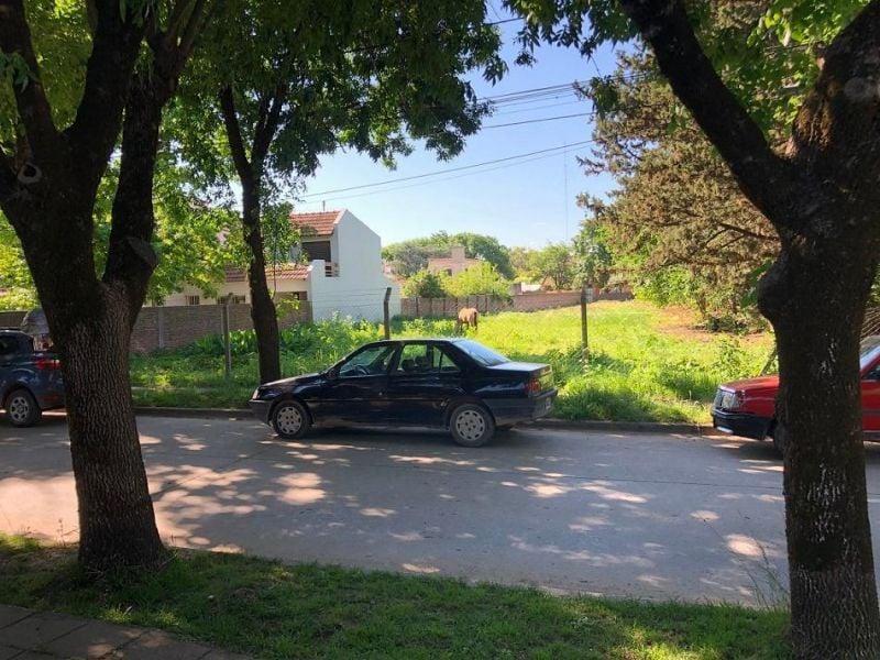 Lote | General Paz 2