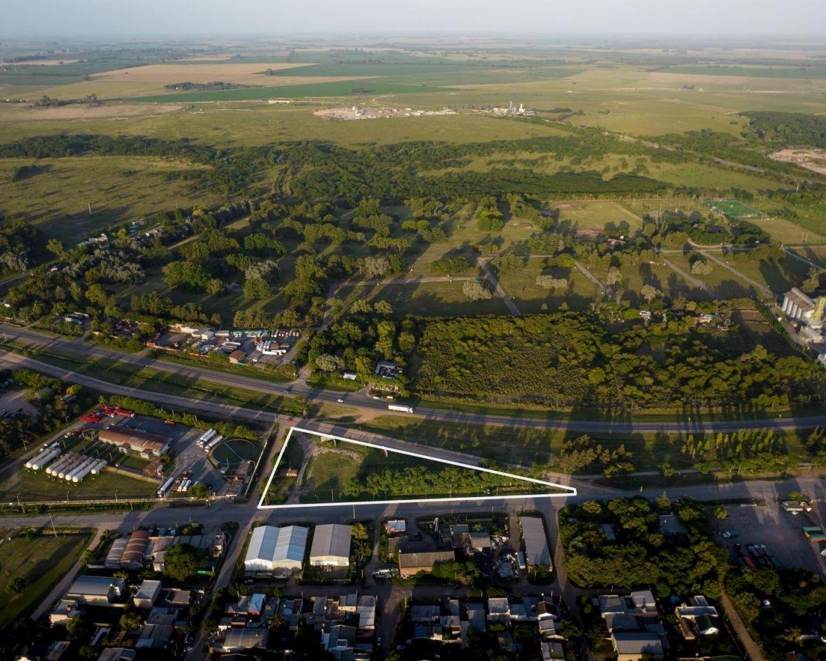 Lote. | Av Dr Smith 1