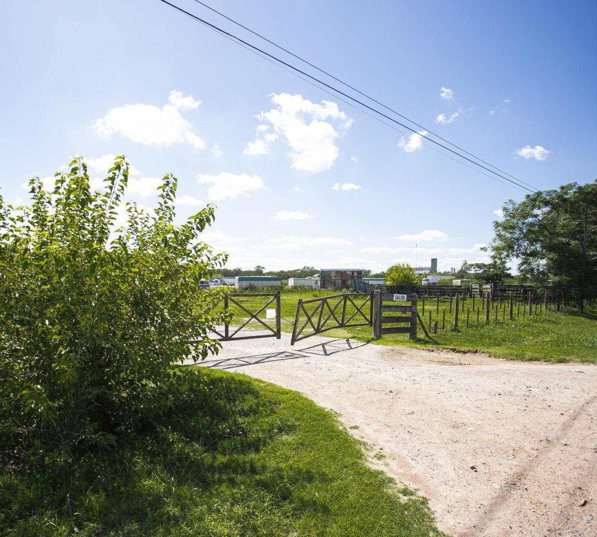 Lote. | Av Dr Smith 4