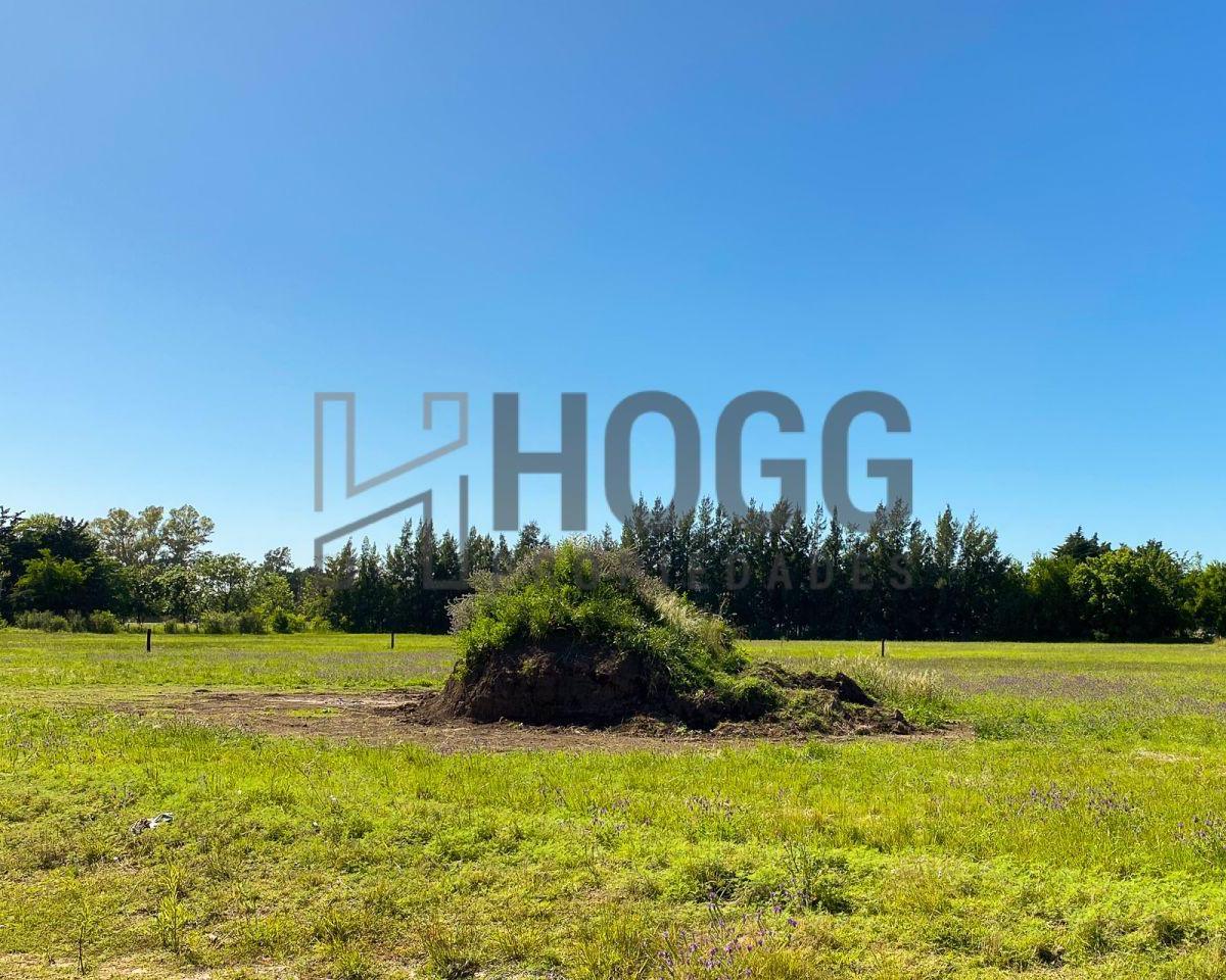 Lote Residencial Zona de Quintas 3