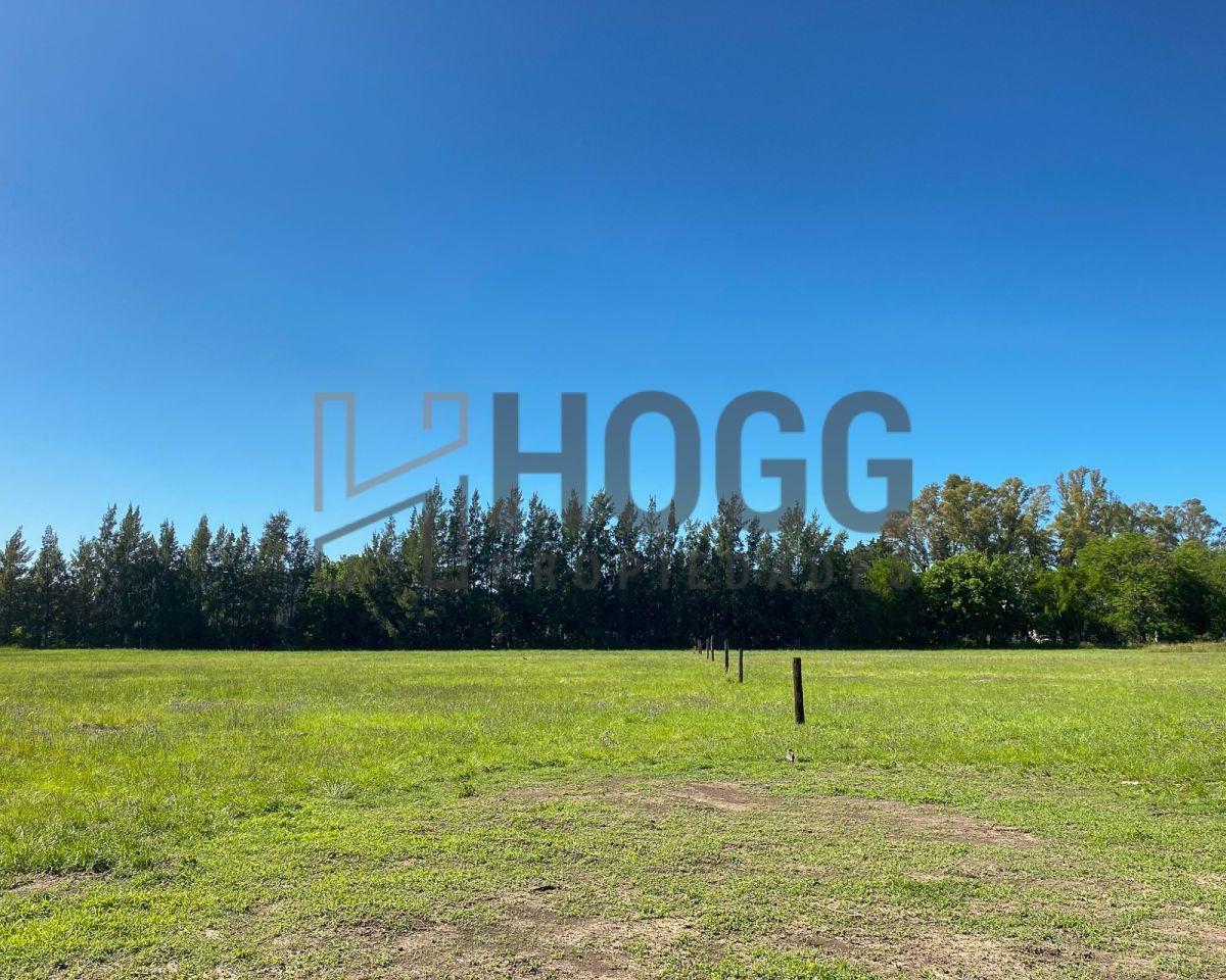 Lote Residencial Zona Quintas 5