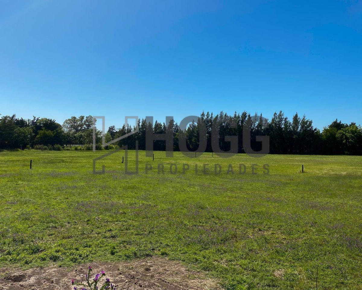 Lote Residencial Zona Quintas 1