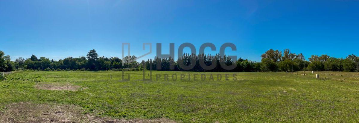 Lote Residencial Zona Quintas 5