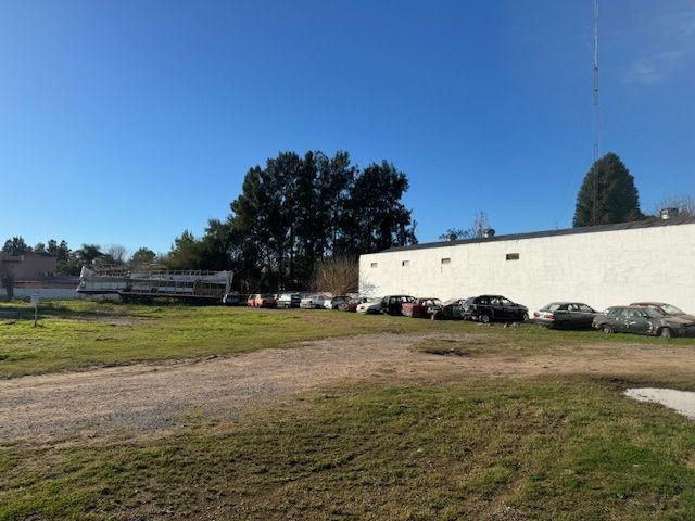 Lote. | Av Dr Smith 2