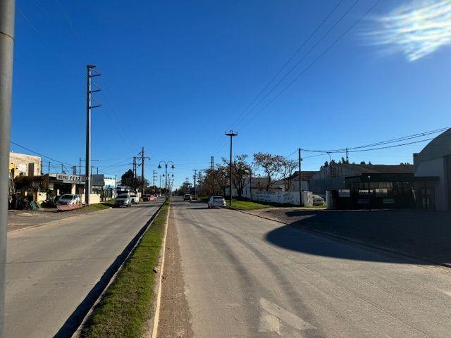Lote. | Av Dr Smith 4