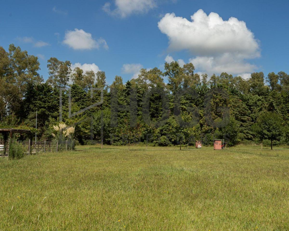 Lote 1000 m² El Tropezón 5