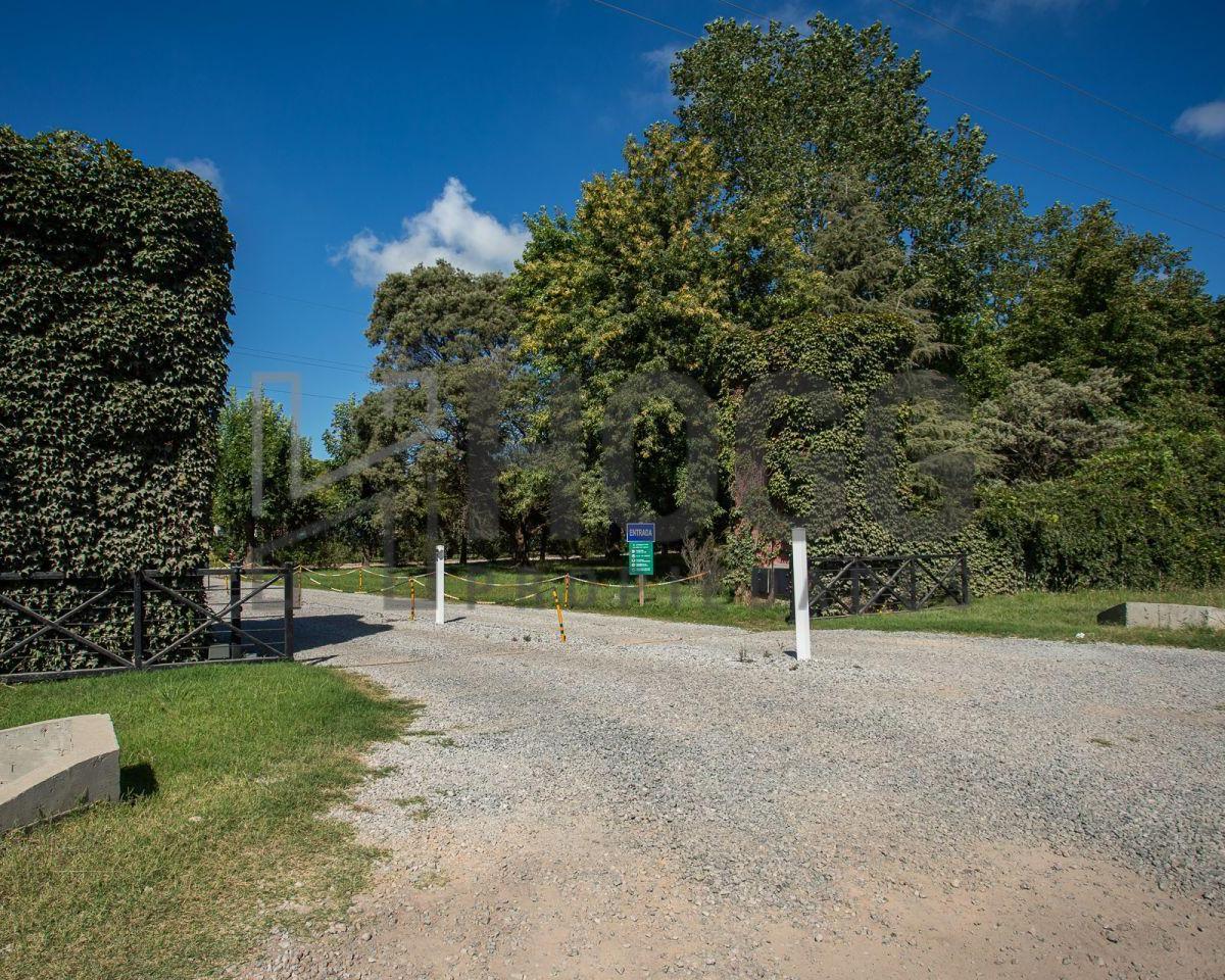 Lote 1000 m² El Tropezón 4