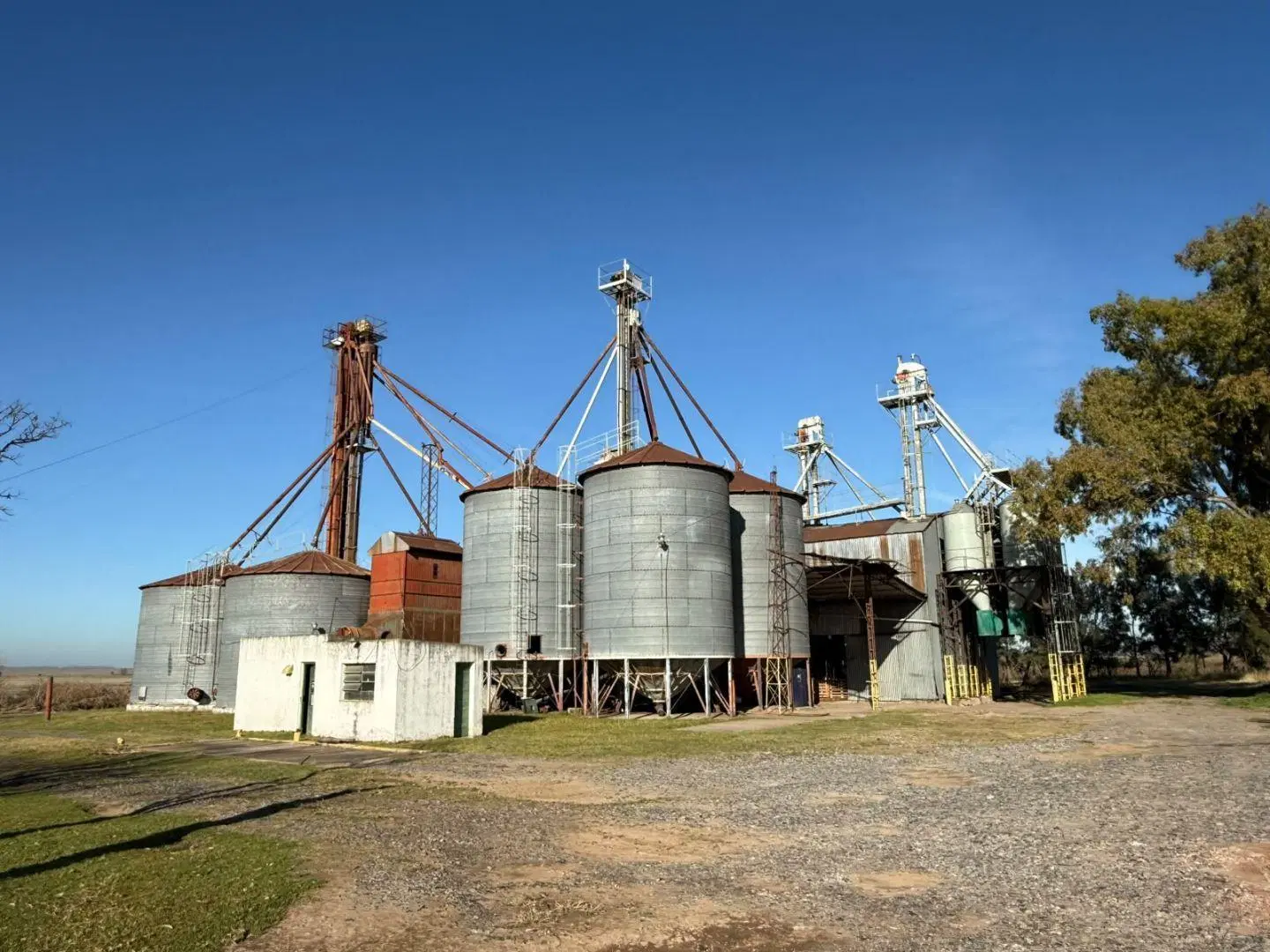 Areco - Alquiler planta alimentos 1ha 1