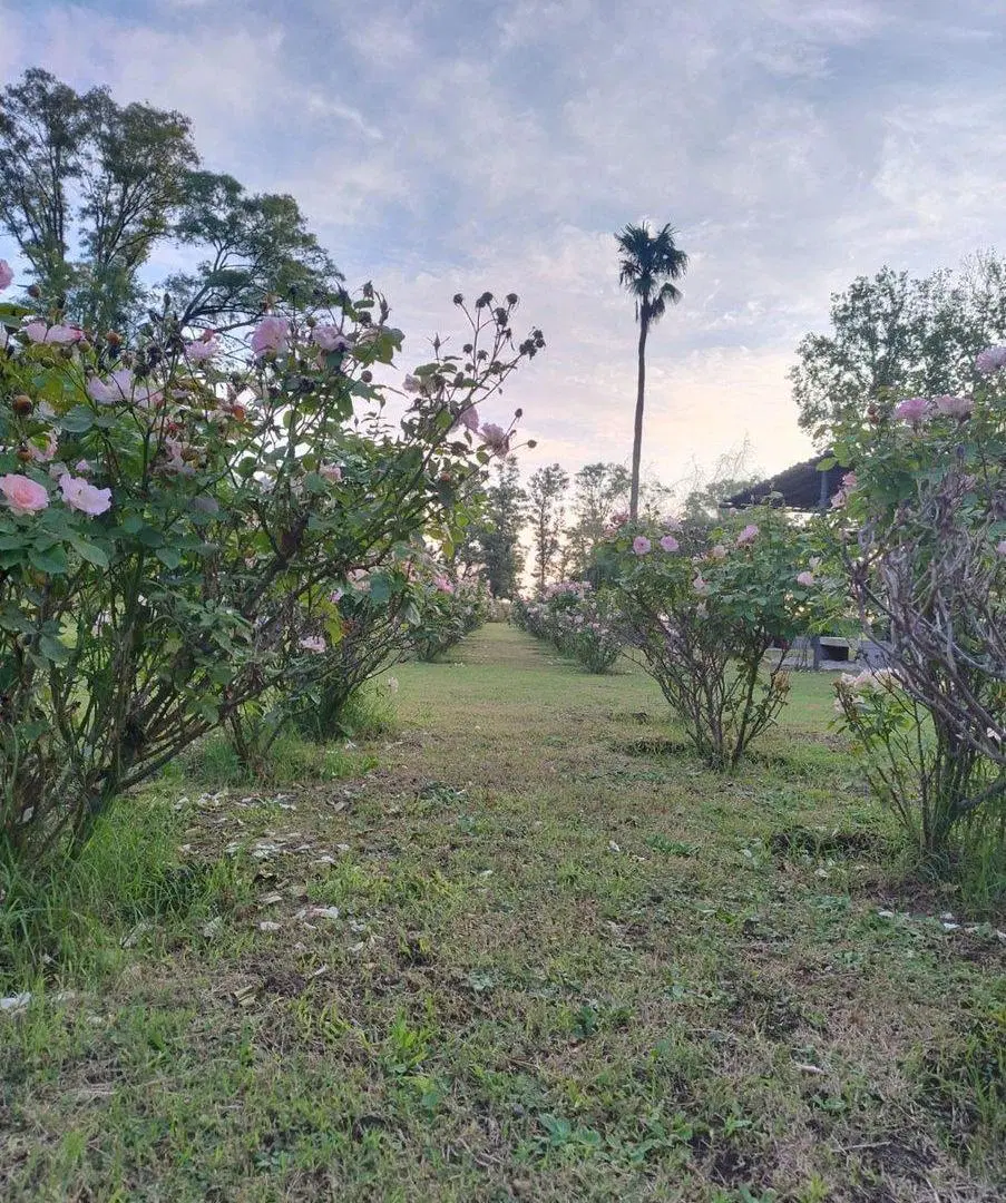 VENTA DE LOTE EN BARRIO LOS MOLINOS TRES PINOS 4