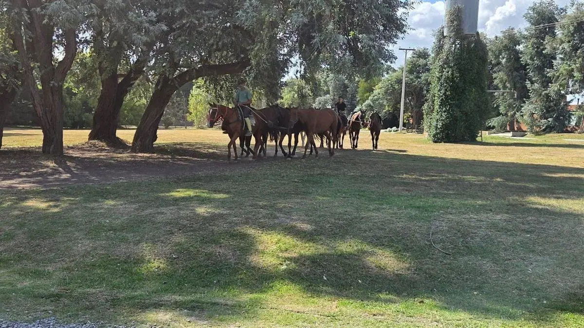 VENTA DORMI Club de Campo Santa Catalina, en Luján 5