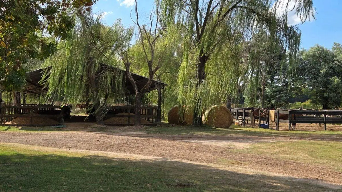 VENTA DORMI Club de Campo Santa Catalina, en Luján 4