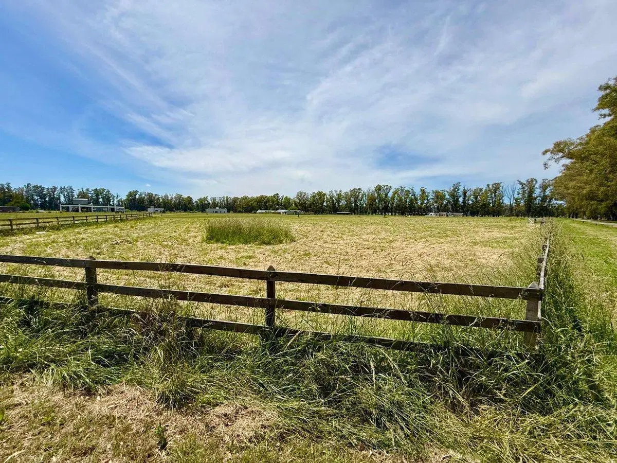 VENTA LOTE VILLA RUIZ 4