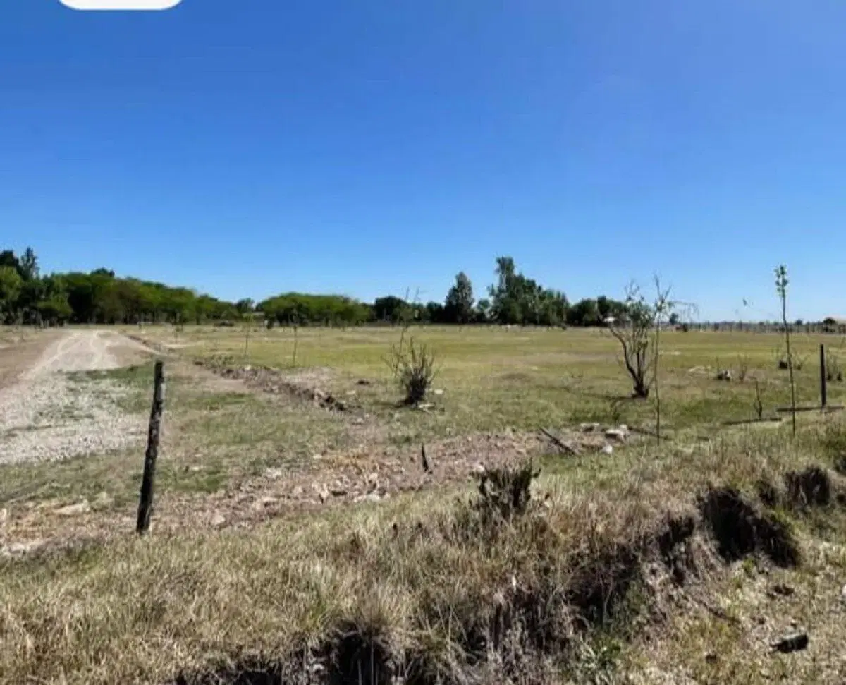 Lote en villa ruiz 3