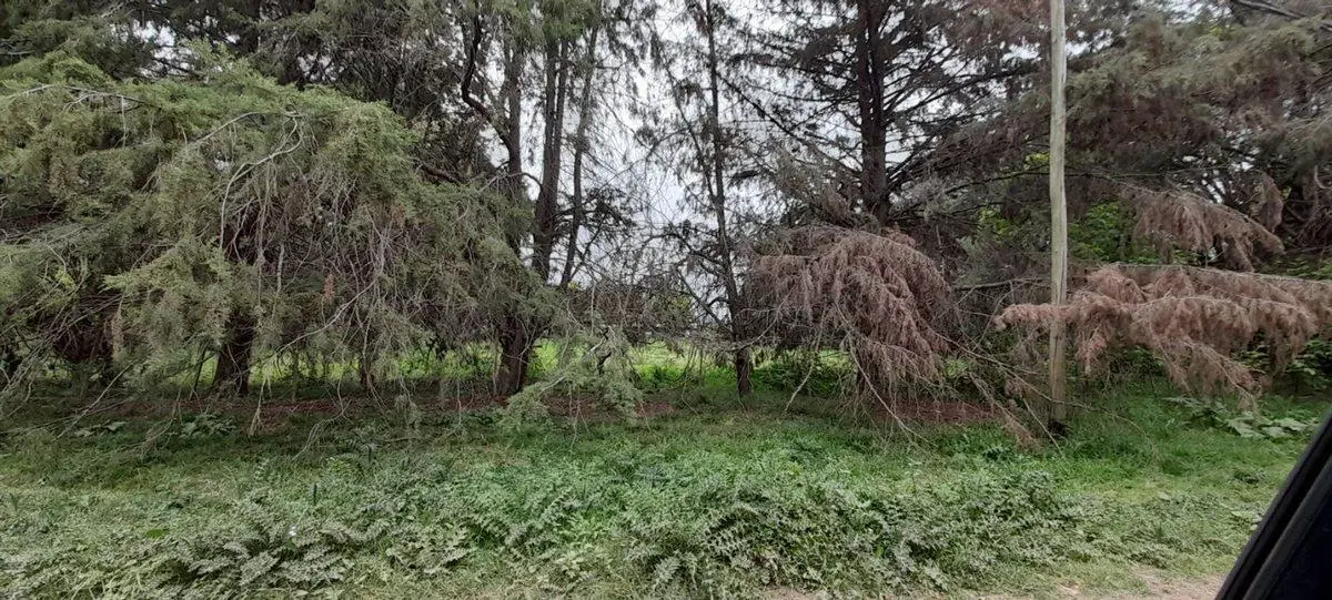 VENTA CHACRA 31.730 m2 GRAL. ROD. R. 24 KM 7.5 5