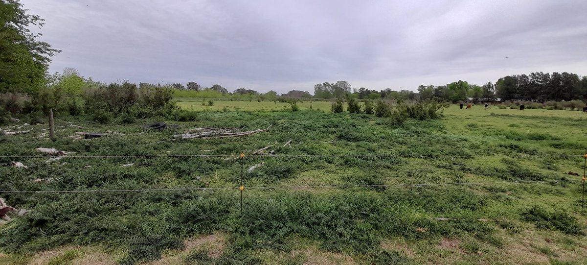 VENTA CHACRA 31.730 m2 GRAL. ROD. R. 24 KM 7.5