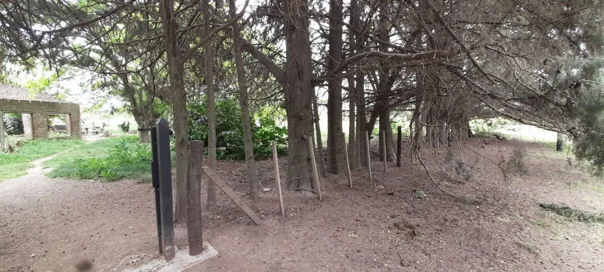 VENTA CHACRA 31.730 m2 GRAL. ROD. R. 24 KM 7.5 2