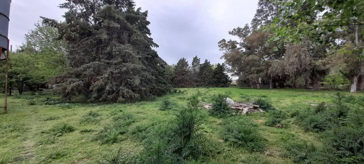 VENTA CHACRA 31.730 m2 GRAL. ROD. R. 24 KM 7.5 4