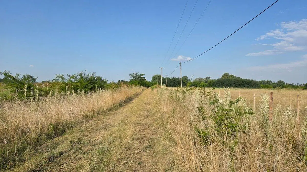 Campo 8 Hectáreas, Luján San Andrés de Giles BsAs 4