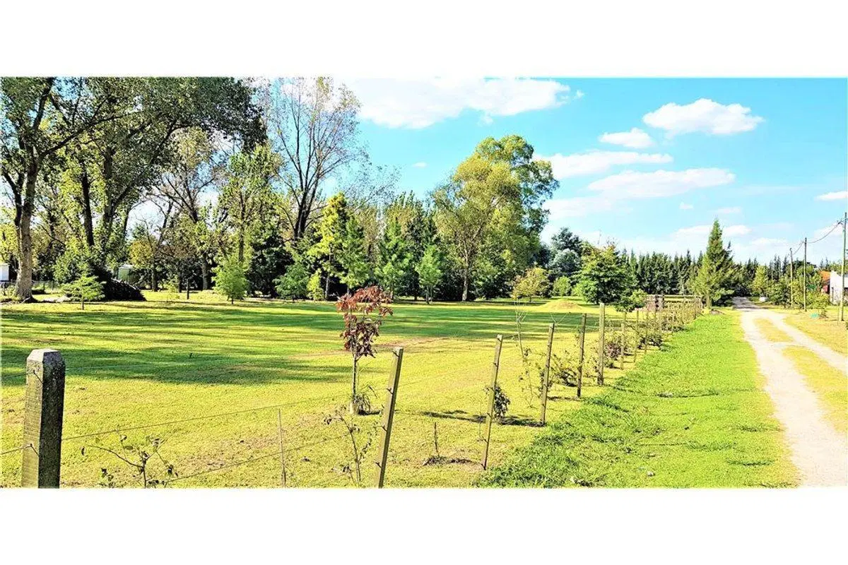 Lote de 820 m2 en "ROBLES DE ALVAREZ" etapa 1 4