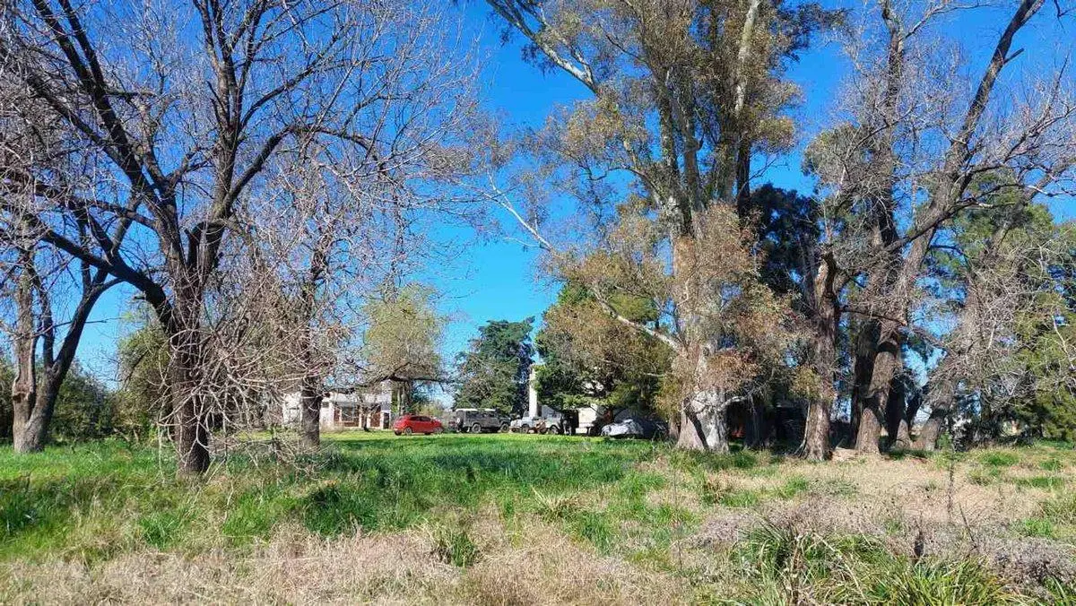 Venta GALPON 300 mt, Acceso Oeste, 4 ha, Luján, BA 2