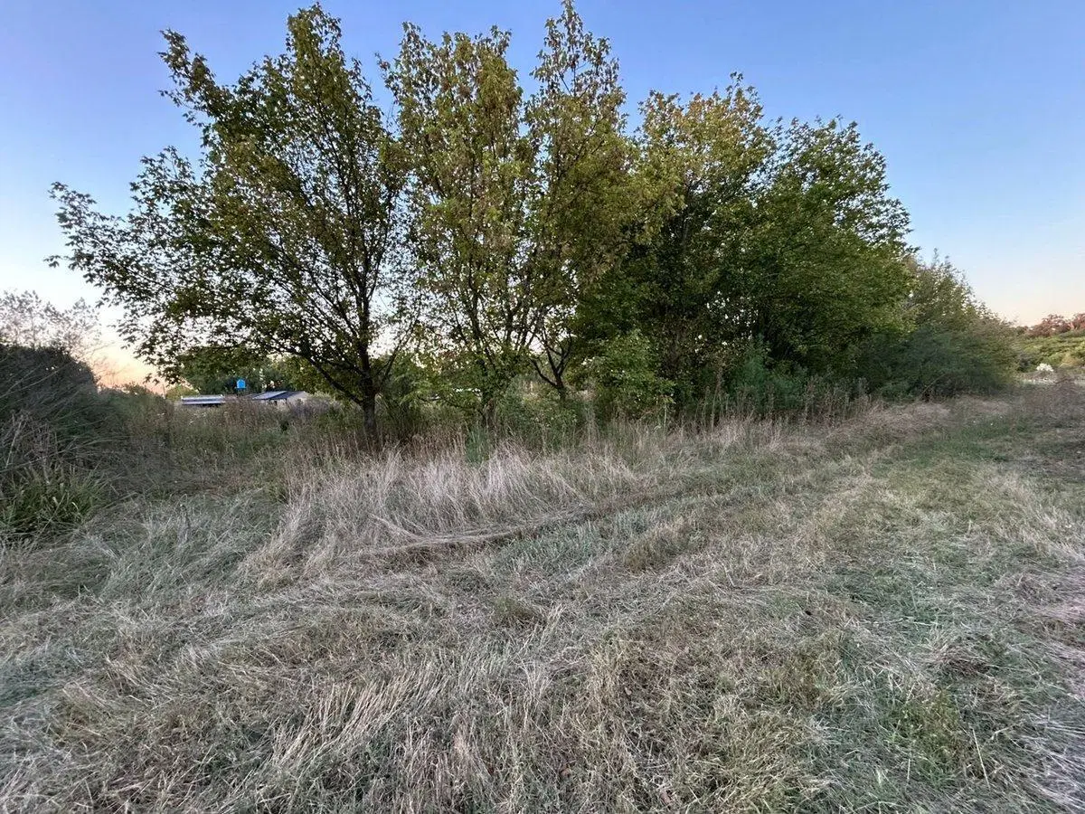 VENTA LOTE MORENO 5