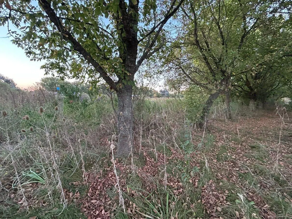 VENTA LOTE MORENO 7