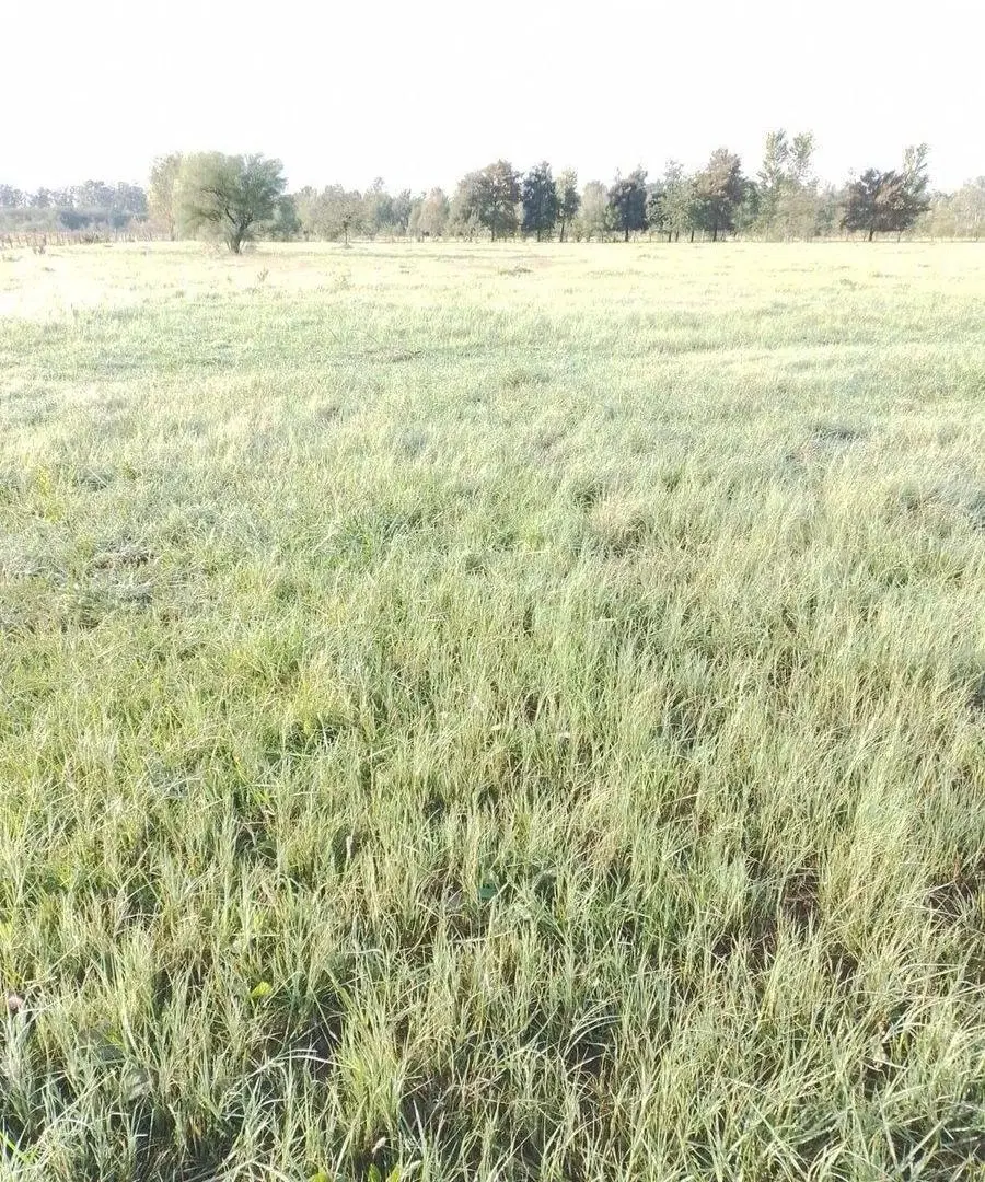 LOTE Chacras de Don Luis Mercedes 5