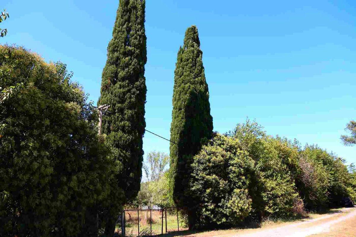 VENTA LOTE 1 HECT CASA EN GOLDNEY MERCEDES CUOTAS