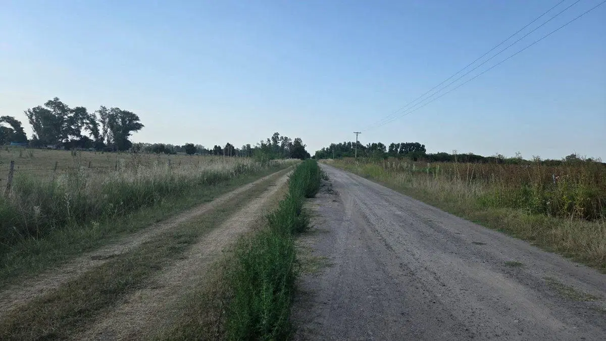 Terreno 1 Hectárea, Luján San Andrés de Giles BsAs 5