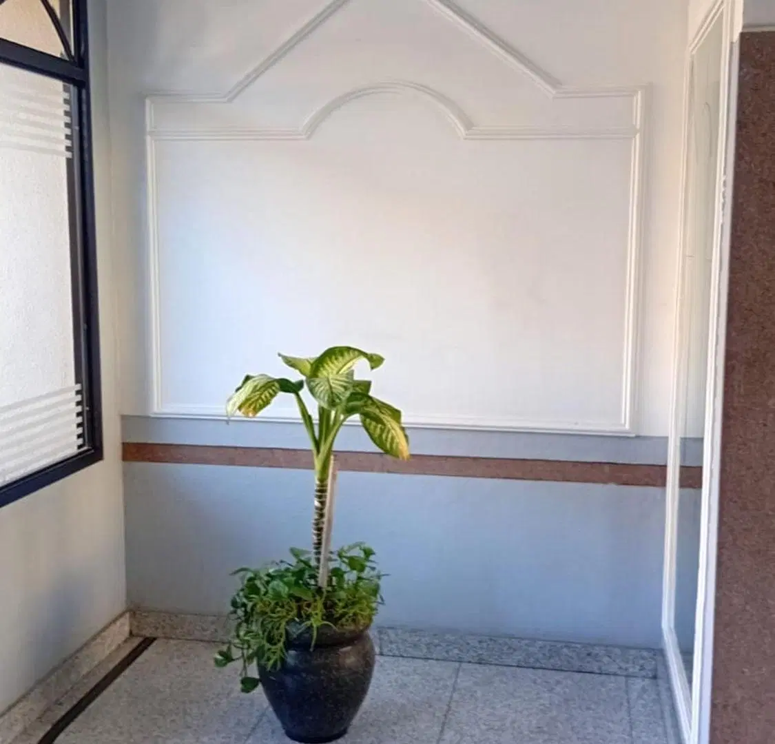 DEPARTAMENTO 2AMB VENTA EN RAMOS MEJIA 5