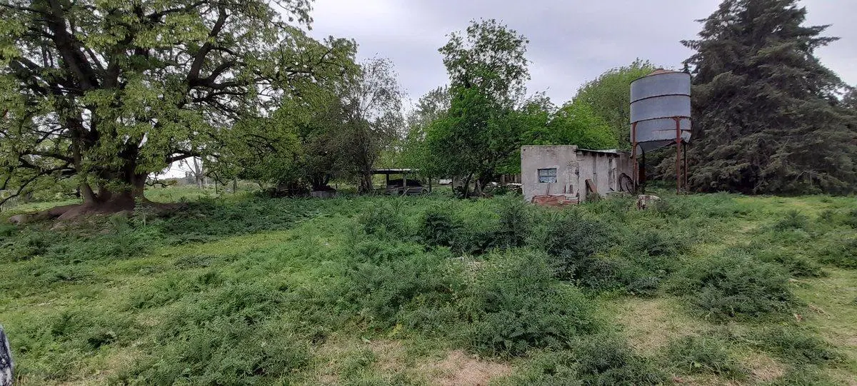 VENTA CHACRA 31.730 m2 GRAL. ROD. R. 24 KM 7.5 5
