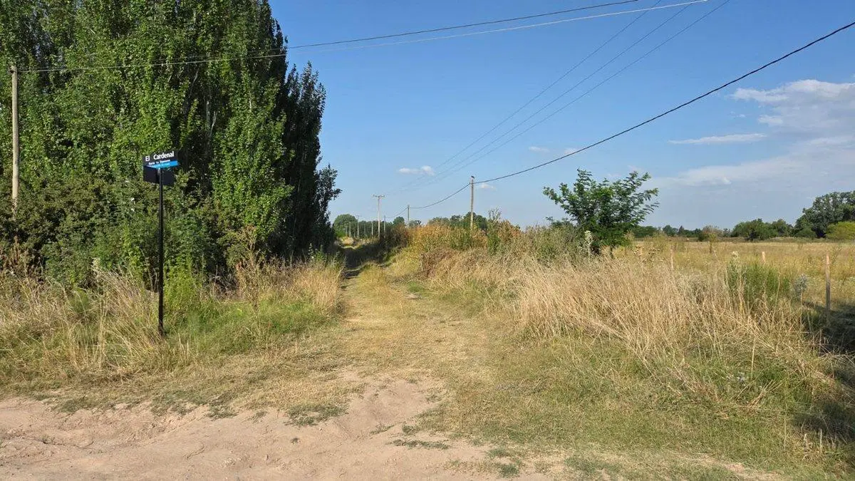 Campo 8 Hectáreas, Luján San Andrés de Giles BsAs 8