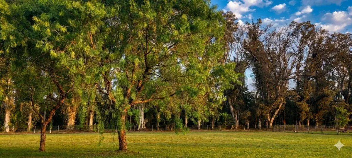 LOTE COMARCAS DE LUJAN 2000M2 2