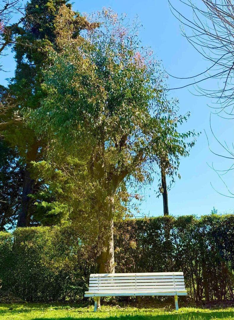 Foto de QUINTA VENTA GENERAL RODRIGUEZ, imagen 4
