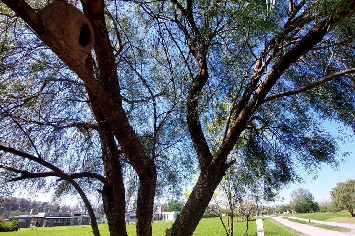 Foto de LOTE BARRIO CERRADO COMARCAS DEL LUJAN, imagen 3