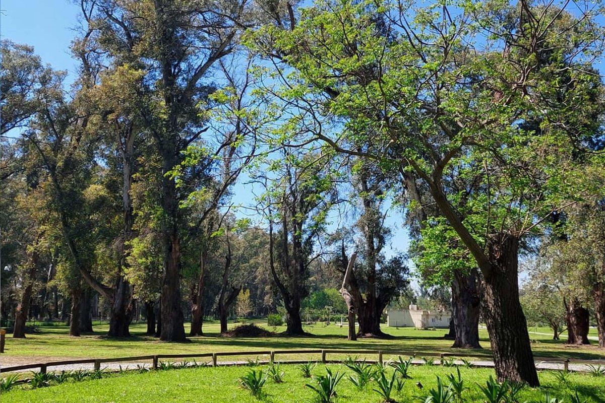 Foto de LOTE BARRIO CERRADO COMARCAS DEL LUJAN, imagen 5