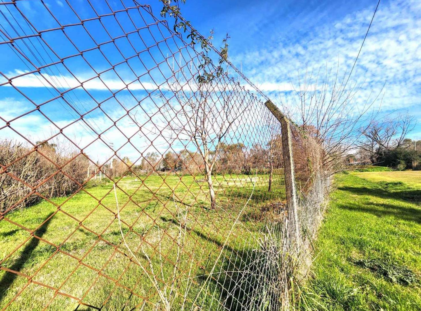 Foto de VENTA LOTE 1241 m2 BUENA ZONA GENERAL RODRIGUEZ, imagen 5