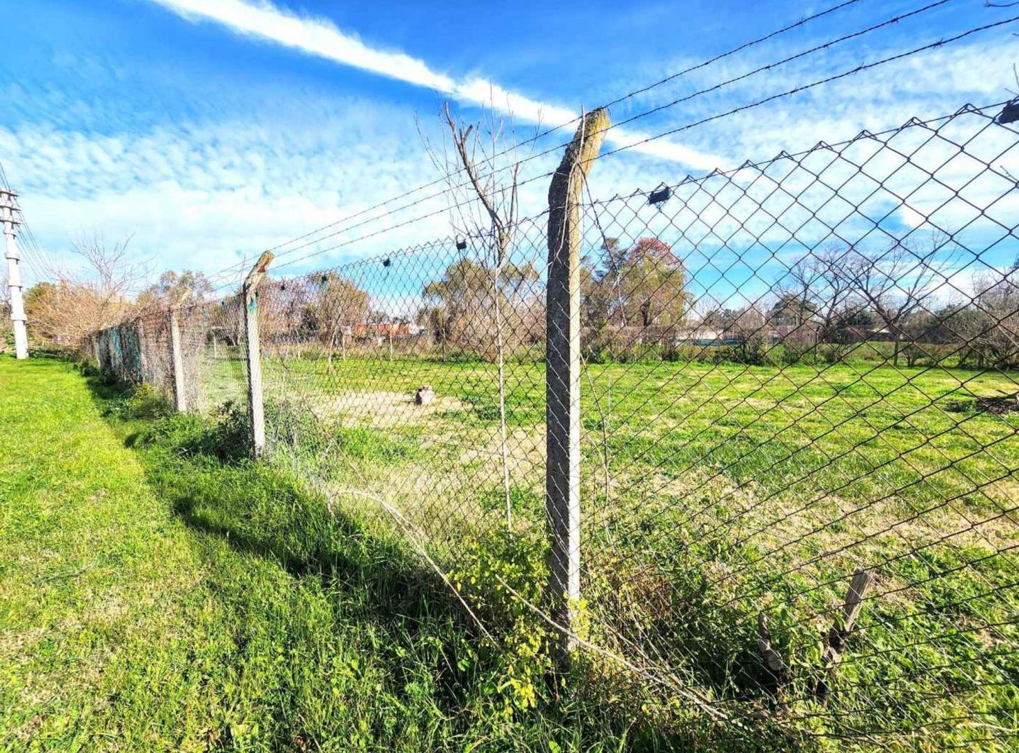 Foto de VENTA LOTE 1241 m2 BUENA ZONA GENERAL RODRIGUEZ, imagen 2