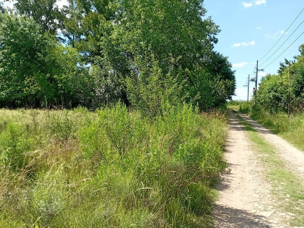 Foto de VENTA LOTE 5.000M2 EN GRAL. RODRIGUEZ RUTA 24, imagen 4