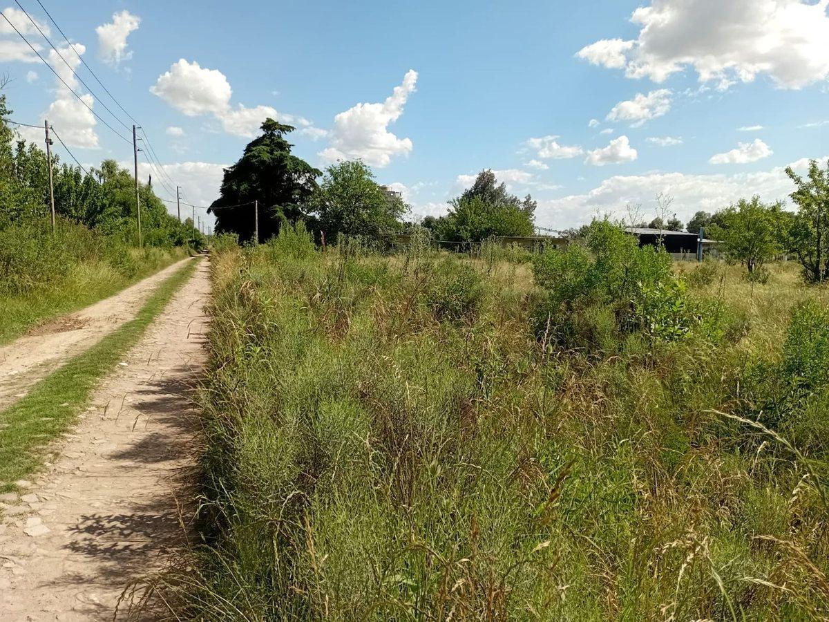 Foto de VENTA LOTE 5.000M2 EN GRAL. RODRIGUEZ RUTA 24, imagen 1