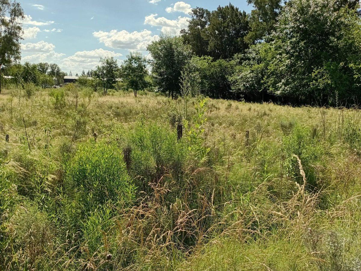 Foto de VENTA LOTE 5.000M2 EN GRAL. RODRIGUEZ RUTA 24, imagen 5