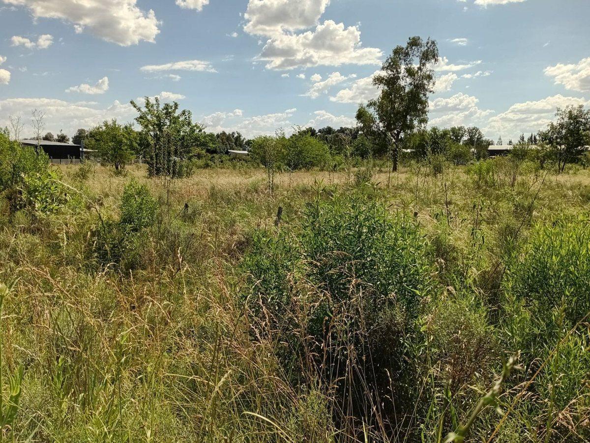Foto de VENTA LOTE 5.000M2 EN GRAL. RODRIGUEZ RUTA 24, imagen 2