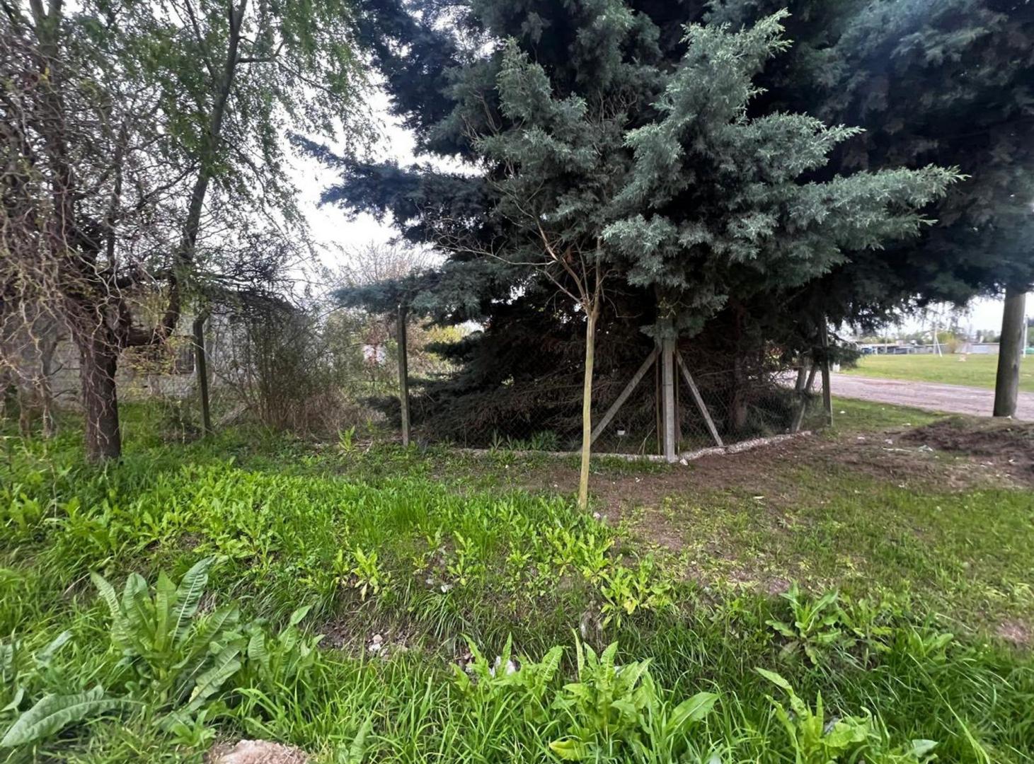 Foto de Venta 3 Lotes, imagen 1